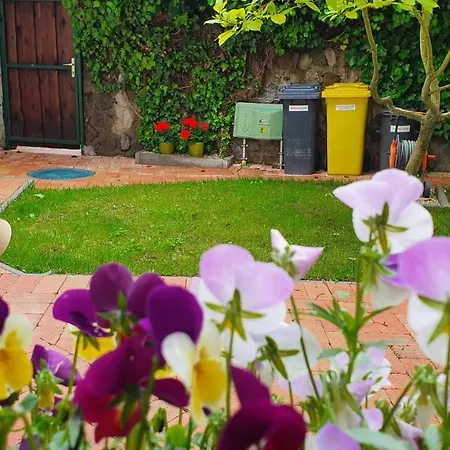 Fruzsi Vendeghaz Πανσιόν Szentbekkalla