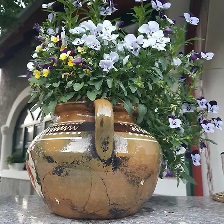 Πανσιόν Fruzsi Vendeghaz